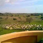 Con Vista